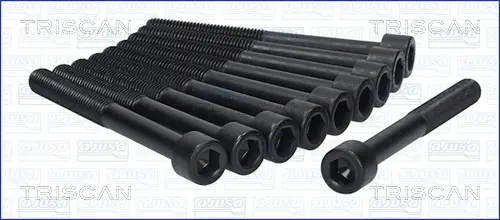 комплект болтове на капака на клап. (на цилиндровата глава) TRISCAN             