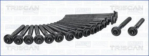 комплект болтове на капака на клап. (на цилиндровата глава) TRISCAN             