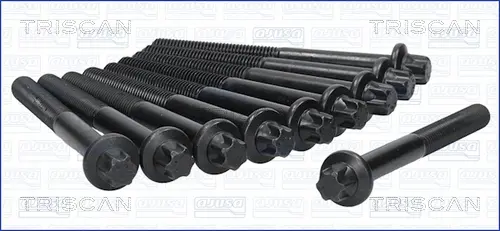 комплект болтове на капака на клап. (на цилиндровата глава) TRISCAN             