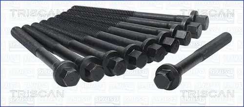 комплект болтове на капака на клап. (на цилиндровата глава) TRISCAN             