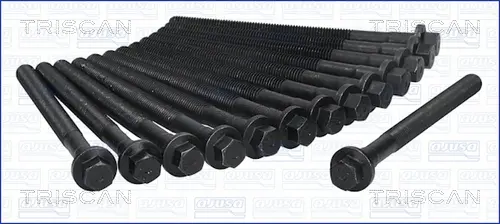 комплект болтове на капака на клап. (на цилиндровата глава) TRISCAN             