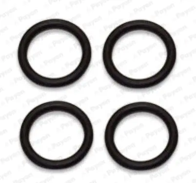 комплект гарнитури, всмукателен колектор PAYEN               