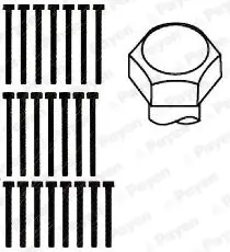 комплект болтове на капака на клап. (на цилиндровата глава) PAYEN               