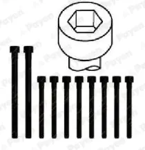 комплект болтове на капака на клап. (на цилиндровата глава) PAYEN               