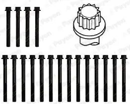 комплект болтове на капака на клап. (на цилиндровата глава) PAYEN               