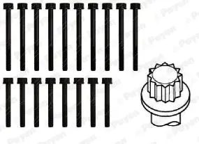 комплект болтове на капака на клап. (на цилиндровата глава) PAYEN               