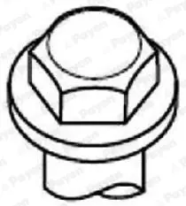 комплект болтове на капака на клап. (на цилиндровата глава) PAYEN               