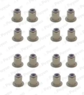 комплект гумички, стъбло на клапана PAYEN               