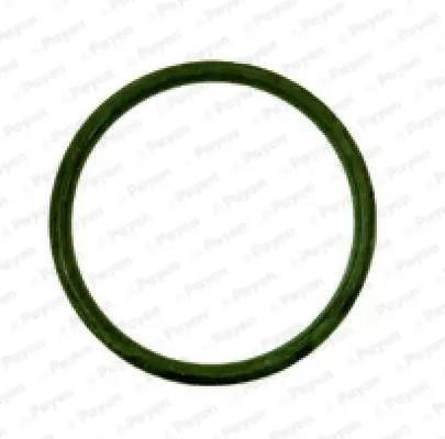 уплътнение, всмукателен колектор PAYEN               