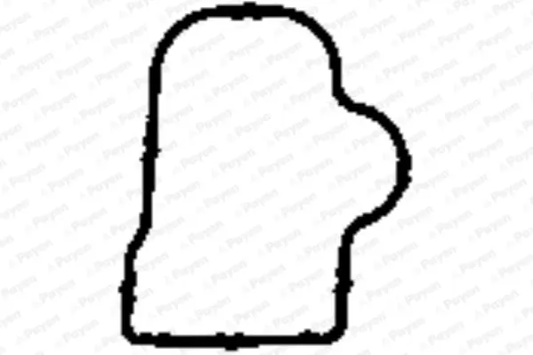 уплътнение, всмукателен колектор PAYEN               