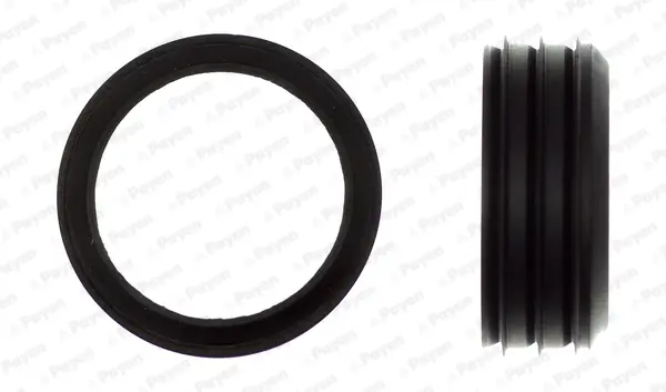 уплътнение, корпус на всмукателен колектор PAYEN               