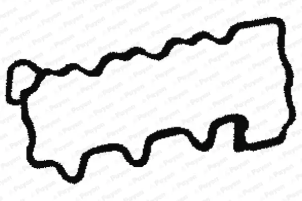 гарнитура, капак на цилиндрова глава PAYEN               