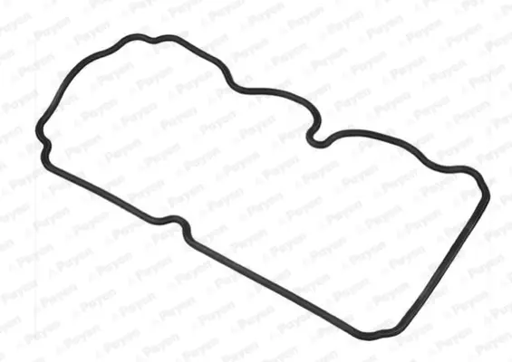 гарнитура, капак на цилиндрова глава PAYEN               