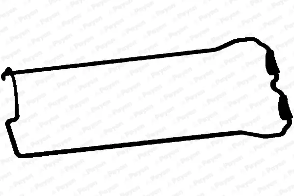 гарнитура, капак на цилиндрова глава PAYEN               