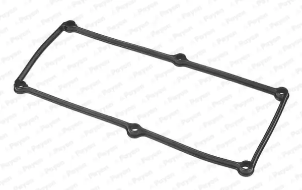 гарнитура, капак на цилиндрова глава PAYEN               