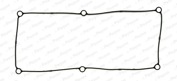 гарнитура, капак на цилиндрова глава PAYEN               