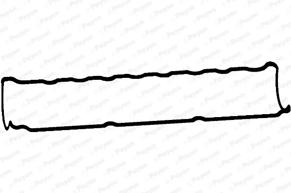 гарнитура, капак на цилиндрова глава PAYEN               