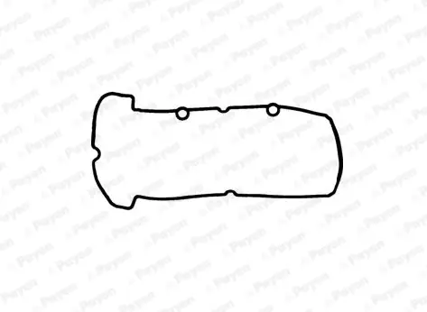 гарнитура, капак на цилиндрова глава PAYEN               