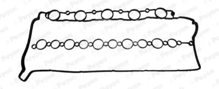 гарнитура, капак на цилиндрова глава PAYEN               
