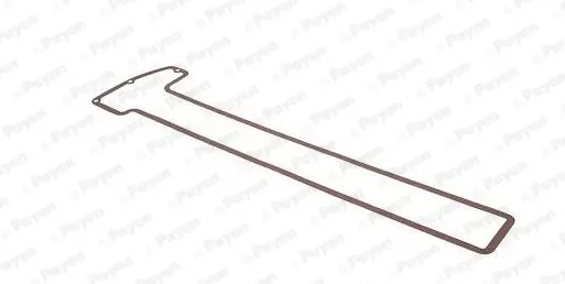 гарнитура, капак на цилиндрова глава PAYEN               