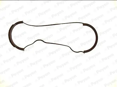 гарнитура, капак на цилиндрова глава PAYEN               