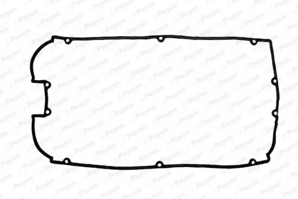 гарнитура, капак на цилиндрова глава PAYEN               