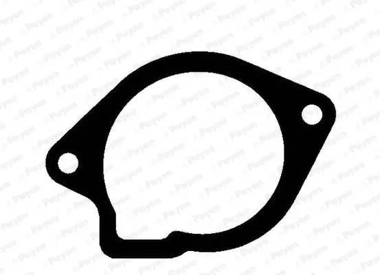 уплътнение, водна помпа PAYEN               