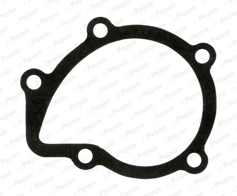 уплътнение, водна помпа PAYEN               