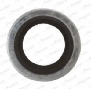 уплътнителен пръстен, пробка за източване на маслото PAYEN               