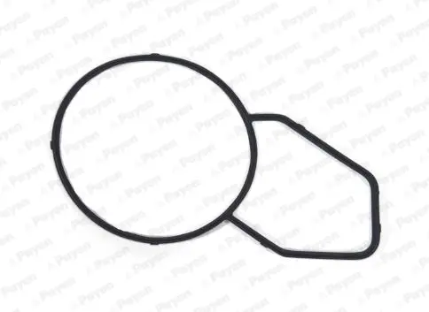 уплътнение, корпус на термостата PAYEN               