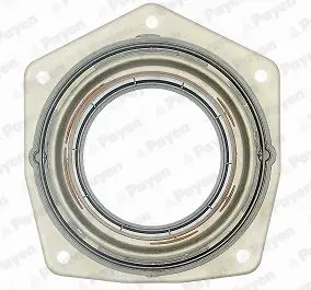 семеринг, колянов вал PAYEN               