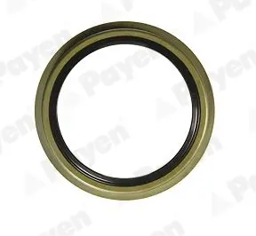 семеринг, главина на колелото PAYEN               