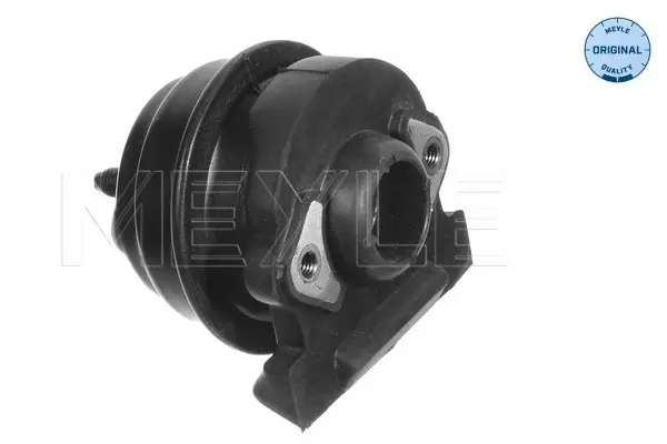 окачване, двигател MEYLE               