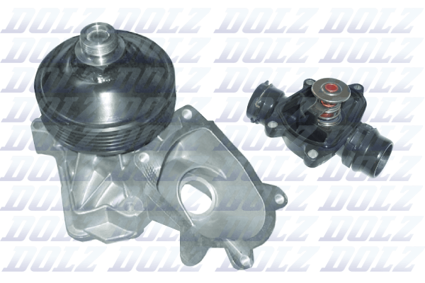 водна помпа, охлаждане на двигателя DOLZ                