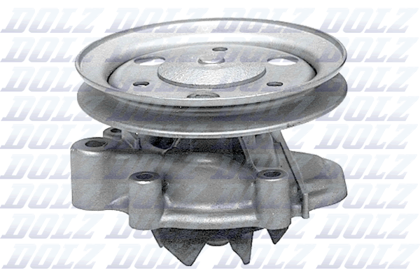 водна помпа, охлаждане на двигателя DOLZ                