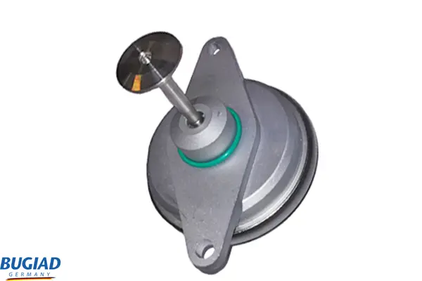 AGR-Клапан BUGIAD              