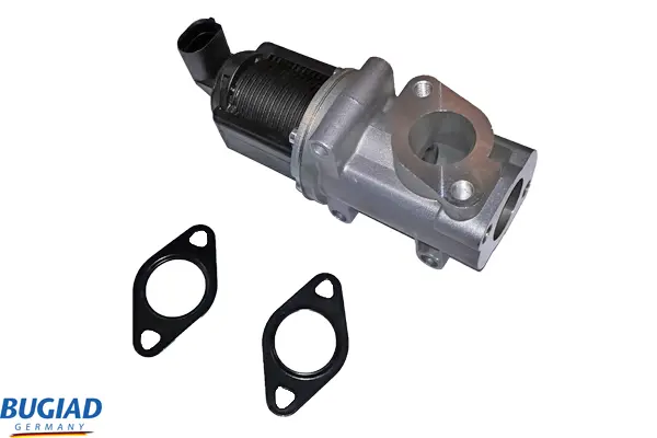 AGR-Клапан BUGIAD              