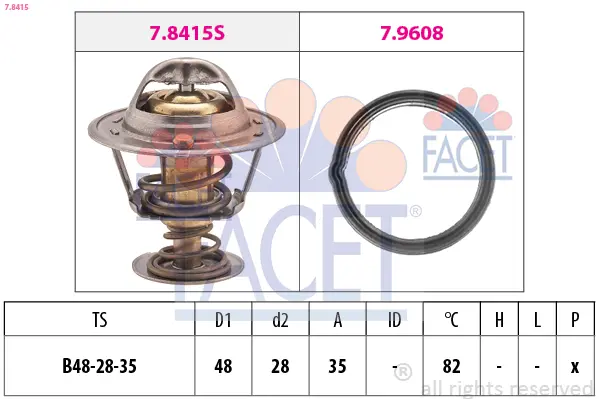 Термостат, охладителна течност FACET