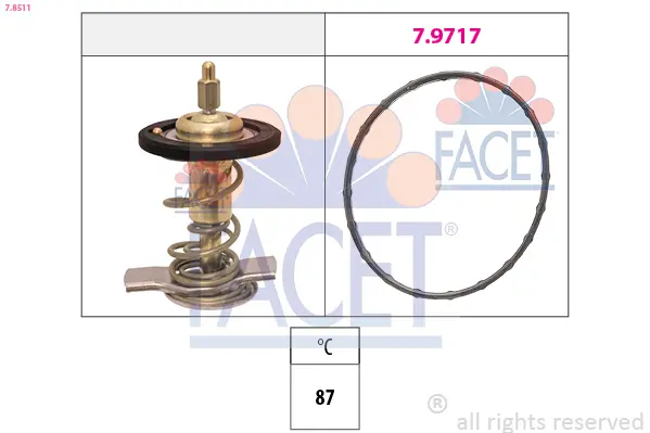 Термостат, охладителна течност FACET