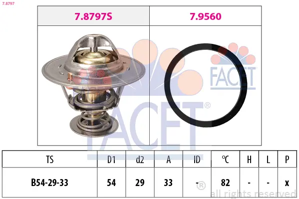 термостат, охладителна течност FACET               