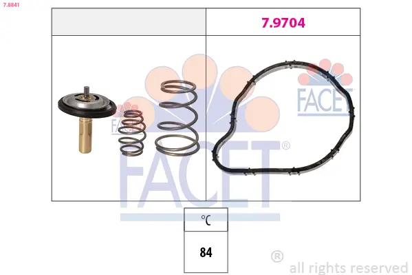Термостат, охладителна течност FACET