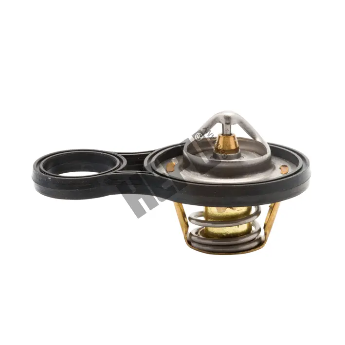 термостат, охладителна течност HEPU                