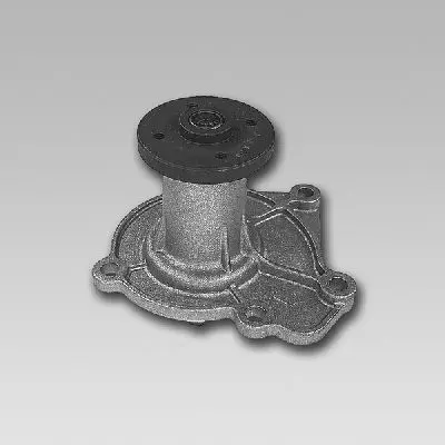 водна помпа, охлаждане на двигателя GK                  