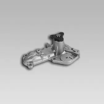 водна помпа, охлаждане на двигателя GK                  