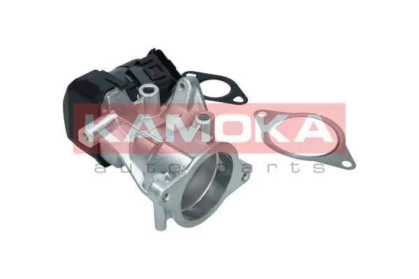 AGR-Клапан KAMOKA