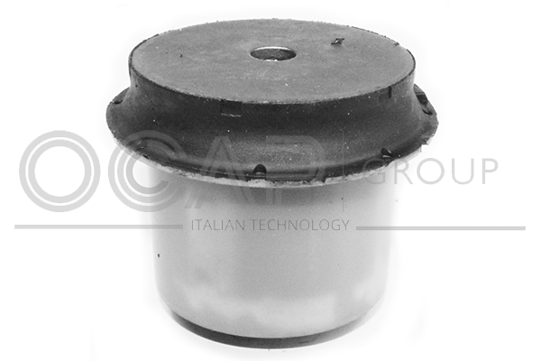 тампони на моста OCAP                