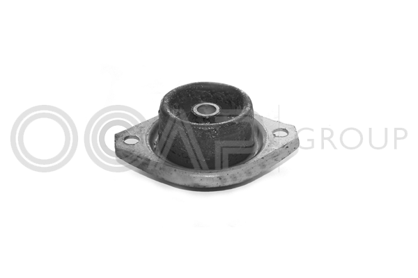 окачване, двигател OCAP                