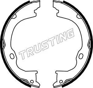 комплект спирачна челюст, ръчна спирачка TRUSTING            