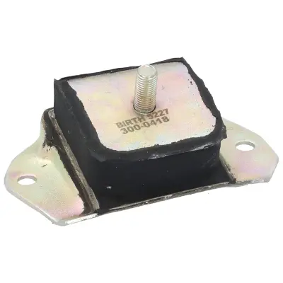 окачване, двигател BIRTH               