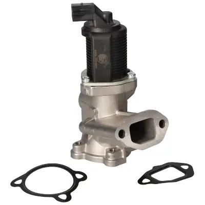 AGR-Клапан BIRTH               